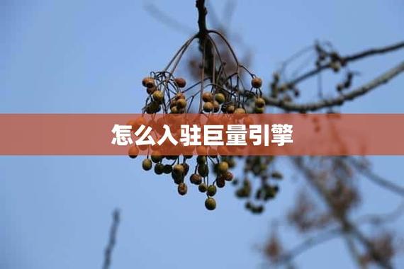 怎么入驻巨量引擎